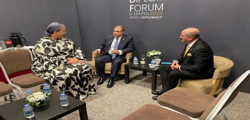 وزير الخارجية: الملف الليبى يمثل أولوية للأمن القومى ولمصالح مصر كدولة جوار مباشر