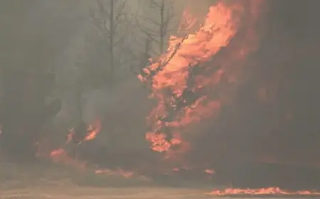 استمرار حرائق الغابات فى إسرائيل.. وإخلاء أكثر من 9 مستوطنات