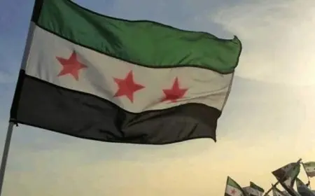 سوريا: القصف الإسرائيلى قرب القصر الرئاسى تصعيد خطير