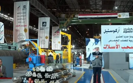 الرئيس السيسى يشهد عبر ال كونفرانس عرضًا لعدد من المصانع الجديدة الناجحة للقطاع الخاص