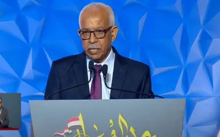 رئيس اتحاد نقابات عمال مصر يثمن جهود الرئيس السيسى فى دعم العمال وتوفير فرص عمل للشباب