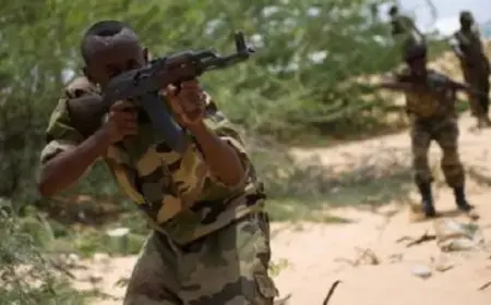 مقتل 10 عناصر إرهابية فى محافظة برى الصومالية