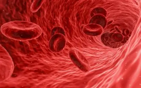 يؤثر على نموه.. كيف تقي طفلك من فقر الدم؟