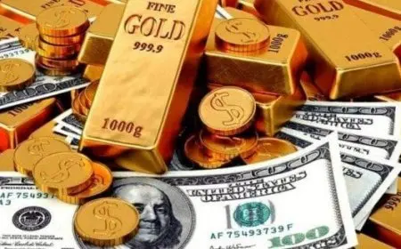 أسعار الذهب والدولار في مصر – آخر تحديث