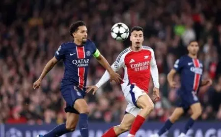 حكم ألماني يقود مباراة باريس ضد أرسنال في دوري أبطال أوروبا