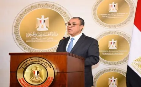 وزير الخارجية: كل ما يتردد عن توسيع العدوان الإسرائيلى على غزة “مرفوض تماماً”