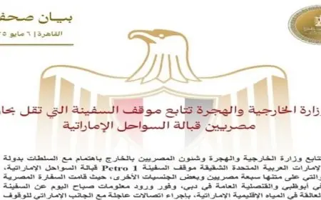 الخارجية تتابع موقف السفينة العالقة قبالة السواحل الإماراتية وتقل بحارة مصريين