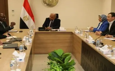 وزير الكهرباء يبحث مع مؤسسة التمويل الدولية دعم مشروعات الطاقة المتجددة