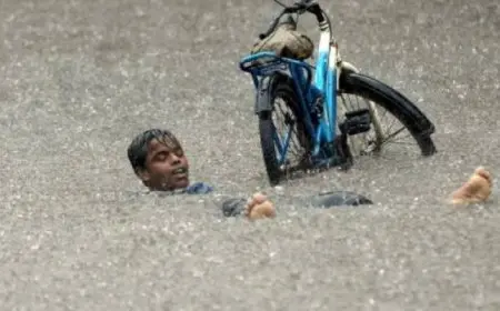 14 قتيلاً على الأقل جراء أمطار غزيرة في ولاية غوجارات الهندية