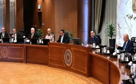 رئيس الوزراء يترأس الاجتماع الأول للمجلس الوطنى للتعليم والبحث والابتكار