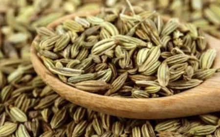 الشمر: دعم صحة العظام وتنظيم السكر