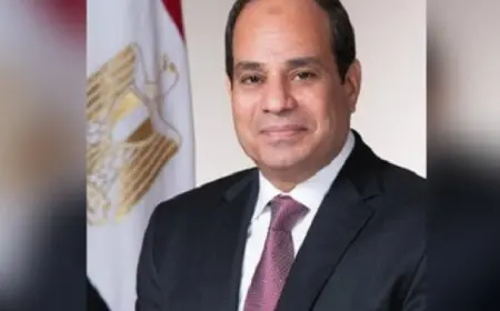 الرئيس السيسى يهنئ البابا ليو الرابع عشر بمناسبة انتخابه بابا للفاتيكان