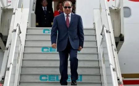 الرئيس السيسى يعود إلى أرض الوطن بعد حضور احتفالات “عيد النصر” بموسكو