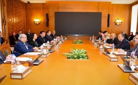 وزير الخارجية يترأس الاجتماع الوزارى الرابع للجنة العليا الدائمة لحقوق الإنسان