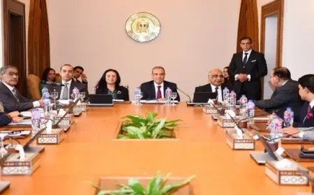 وزير الخارجية والهجرة يترأس حوار اللجنة العليا الدائمة لحقوق الإنسان مع ممثلى منظمات المجتمع المدنى