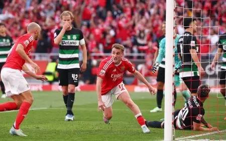 تعادل مثير.. بنفيكا يواجه سبورتينغ والحسم يتأجل للجولة الأخيرة