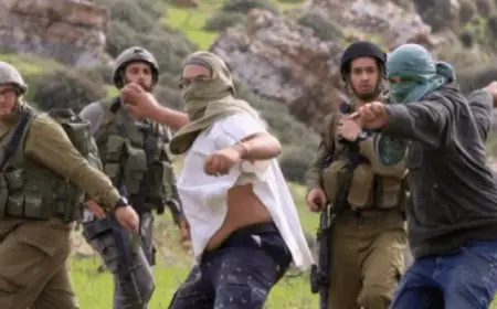 مستوطنون يهاجمون فلسطينيين جنوب الخليل