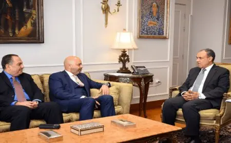 وزير الخارجية والهجرة يؤكد موقف مصر الداعى لضرورة إصلاح مجلس الأمن الدولى