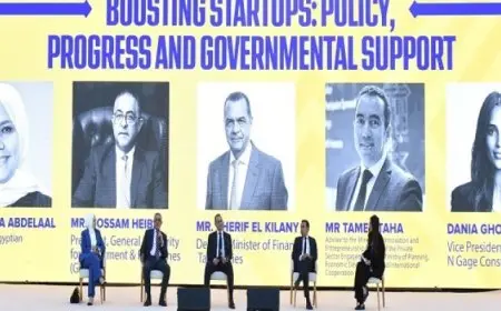 لأول مرة.. المناطق الحرة العامة تستضيف الشركات الناشئة المُصدرة للخدمات