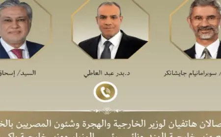 وزير الخارجية يجرى اتصالين هاتفيين مع وزيرى خارجية الهند وباكستان