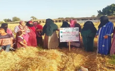 “الزراعة” تواصل تنفيذ المدارس الحقلية ضمن مشروع “سيل” لدعم المستفيدين