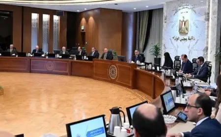 مدبولى: “البرنامج الوطنى لتنمية صناعة السيارات” ركيزة رئيسية لتوطين الصناعة فى مصر