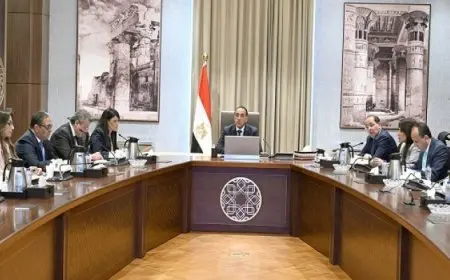 رئيس الوزراء يتابع أعمال اللجنة الخاصة بحوكمة الاستثمارات العامة بالدولة