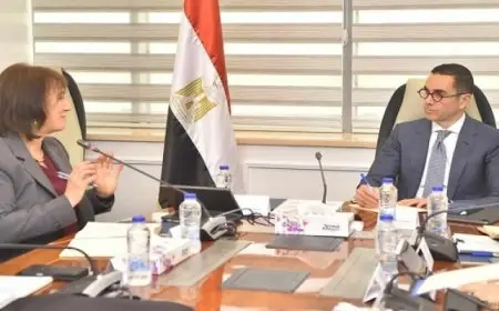 الاستثمار: وحدة مستقلة لتنسيق عمليات تخارج الدولة من النشاط الاقتصادى