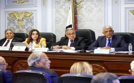 د.منال عوض : 4.3 مليار جنيه إجمالى موازنة الوزارة للعام الجديد بزيادة 525 مليون جنيه عن العام الماضى