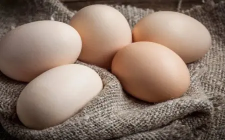 محكمة سويدية تدين أما كسرت بيضة على جبين ابنتها