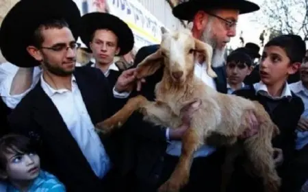 حراس المسجد الأقصى يحبطون إدخال مستوطنين “قربانا حيا” إلى باحاته