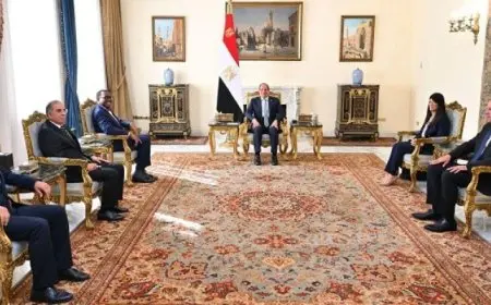 الرئيس السيسى: نقدّر دور البنك الإفريقى فى توفير التمويل لتحقيق التنمية بالقارة