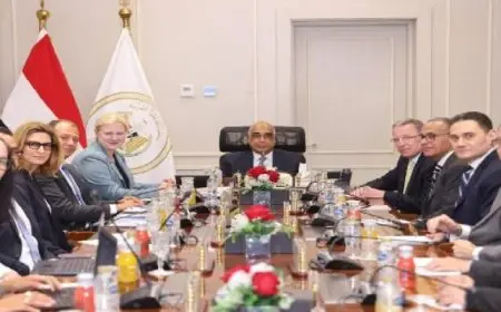 وزير العدل يستقبل رئيسة قسم الشراكات بمنظمة التعاون الإقتصادى والتنمية