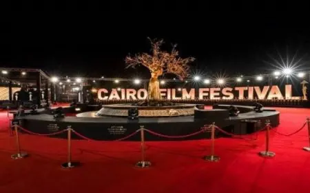 مشاركة استثنائية لمهرجان القاهرة فى «كان» 2025 تعزز السينما المصرية عالميًا