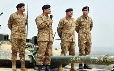 إعلام هندى: قائدا الجيشين الهندى والباكستانى أجريا مباحثات هاتفية