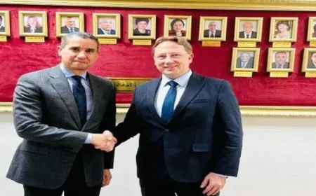 مصر وفرنسا تتفقان على تعزيز التعاون فى إطار مجموعتى العشرين والسبع