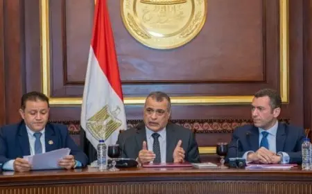 وزير الدولة للإنتاج الحربى: الصناعة من أهم ركائز التنمية الاقتصادية الشاملة والأمن القومى