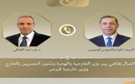 وزير الخارجية ونظيره القبرصى يؤكدان ضرورة مواصلة التنسيق وتكثيف الجهود لخفض التصعيد بالمنطقة