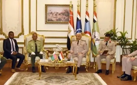 وزير الدفاع الفريق أول عبد المجيد صقر يلتقى نظيره من مدغشقر