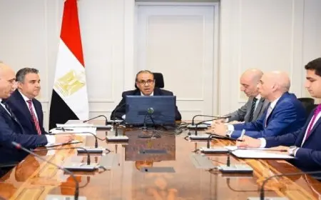 وزير الخارجية والهجرة يعقد اجتماعًا افتراضيًا مع رؤساء البعثات المصرية بالخارج