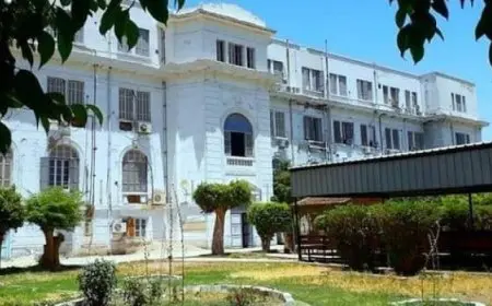 أساتذة هندسة قنا بقائمة Top Scholar العالمية لعام 2024