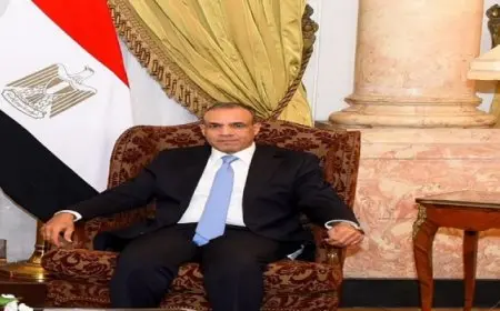 وزير الخارجية: الرئيس السيسى يقود التحرك الدبلوماسى المصرى بحكمة لوقف العدوان على غزة