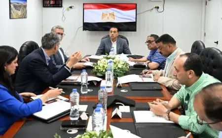 خلال جولته بمنجم السكرى.. مدبولى يبحث مع الرئيس التنفيذى لـ”أنجلو جولد أشانتى” خطط العمل والتوسعات المستقبلية