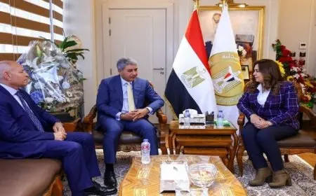 وزيرا التنمية المحلية والسياحة يبحثان وضع آلية محددة لتحصيل الرسوم من المنشآت الفندقية والسياحية بالمحافظات