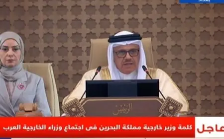 وزير الخارجية البحرينى: حريصون على تنفيذ قرارات القمة بفعالية.. وملتزمون بدعم القضية الفلسطينية