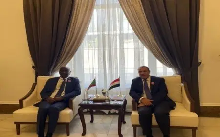 عبد العاطى يؤكد الحرص على مواصلة تعزيز العلاقات الثنائية الوطيدة بين مصر وموريتانيا
