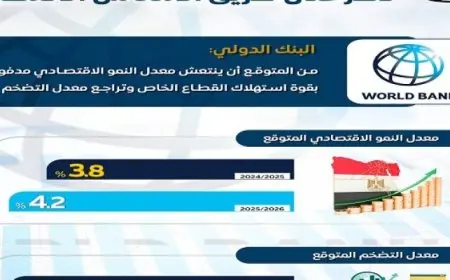 بالإنفوجراف .. مجلس الوزراء: بشهادة البنك الدولى,, مصر على طريق الانتعاش الاقتصادى