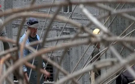 29 عضوا بالكونجرس الأمريكى يطالبون إدارة ترامب بوقف فورى لحصار غزة