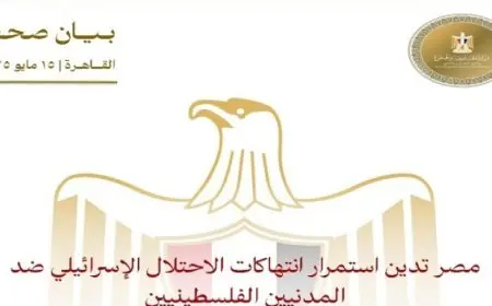 مصر تدين استمرار انتهاكات الاحتلال الإسرائيلى ضد المدنيين الفلسطينيين