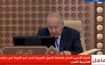 أبو الغيط يطالب الدول العربية باتخاذ موقف موحدة لوقف حرب الإبادة فى فلسطين